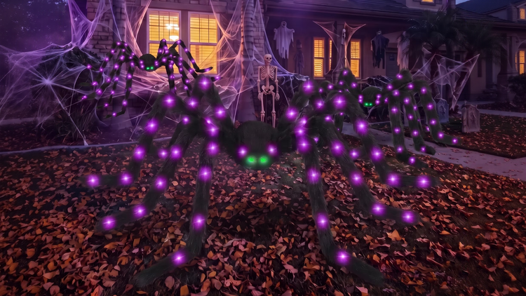 Halloween Decorations